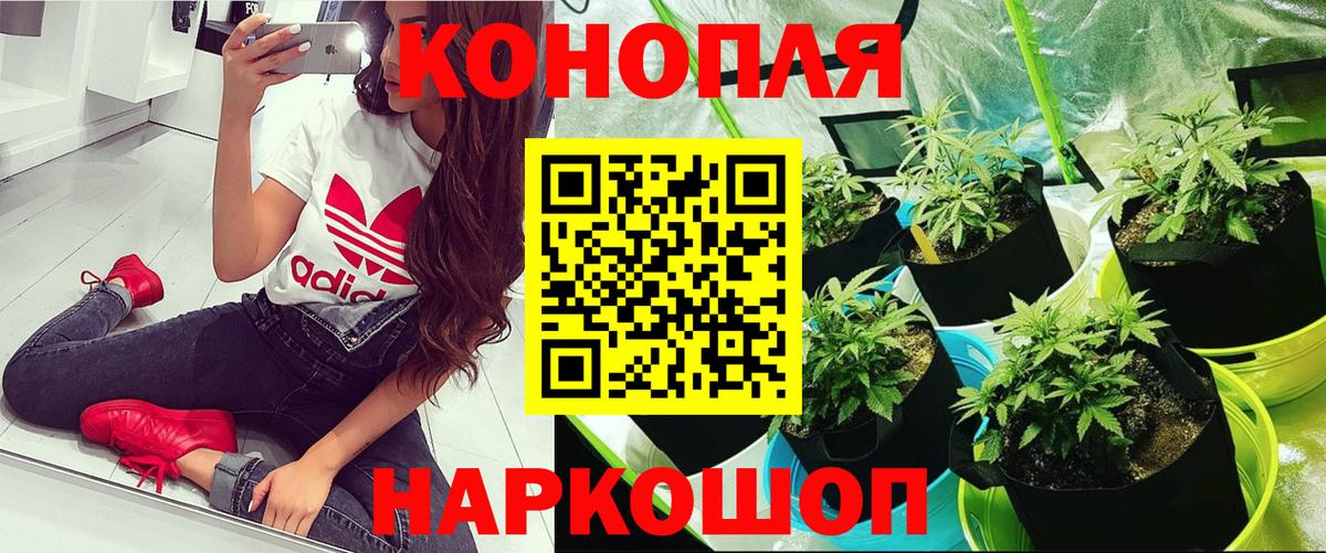 Сарапул  Каннабис ГИДРОПОН  Шишки марихуана сатива  Вход с VPN 